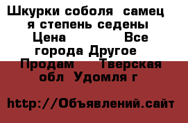 Шкурки соболя (самец) 1-я степень седены › Цена ­ 12 000 - Все города Другое » Продам   . Тверская обл.,Удомля г.